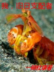 旧日支配者最新章节更新时间表