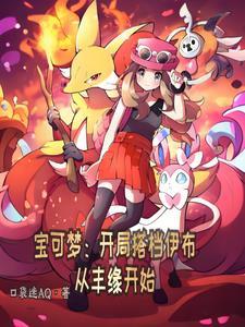 神奇宝贝开局一只伊布