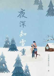 夜深知雪重楚执格格党