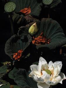 转入尖子班的日常无删减版